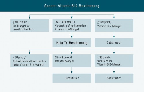 Gesamt Vitamin B12 Bestimmung