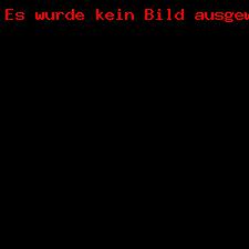 2017-11-15-Headlne-Baumwipfelpfad-Turm